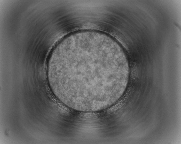 X0000095120832200801041221