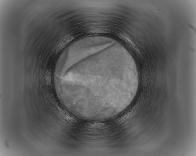 X0000095120833200801041221