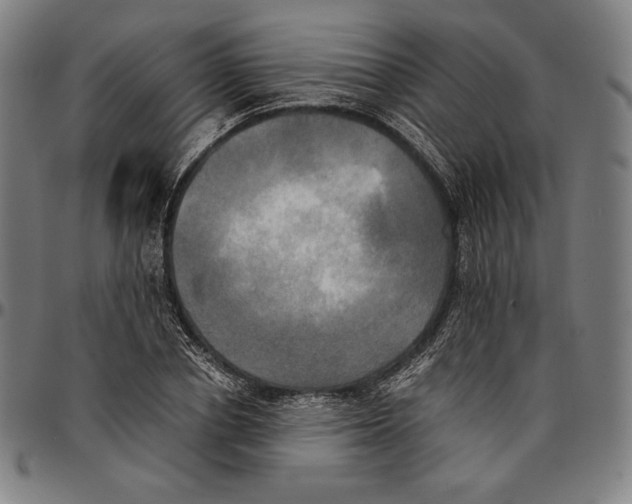 X0000095120834200801041221