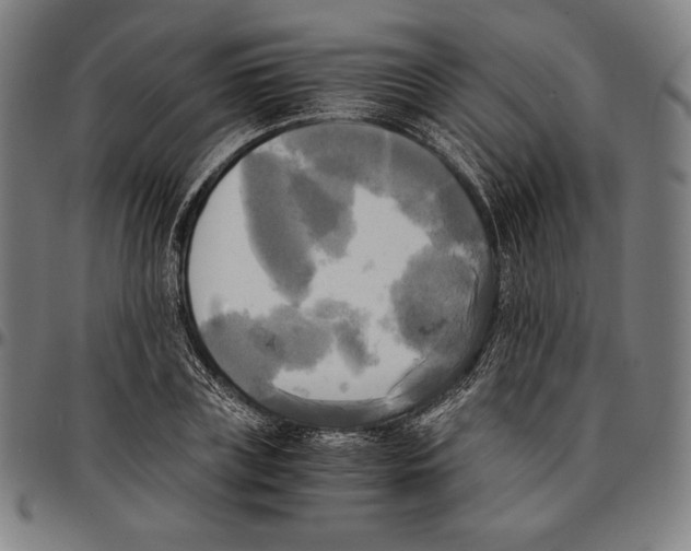 X0000095120835200801041221