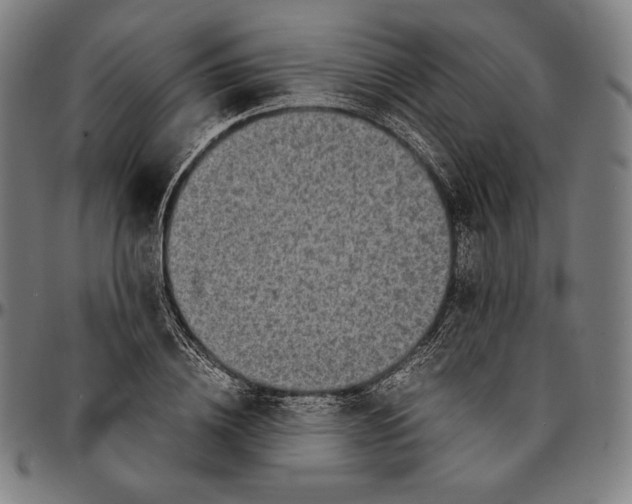 X0000095120836200801041221