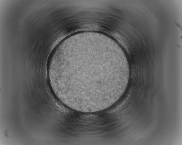 X0000095120837200801041221