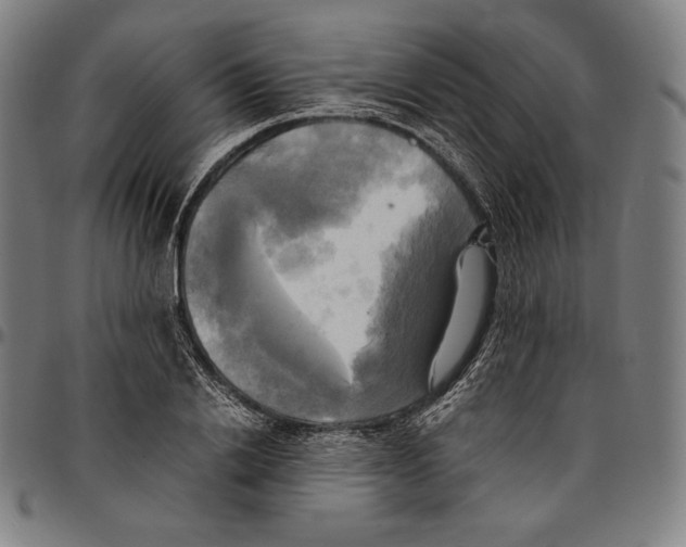 X0000095120838200801041221