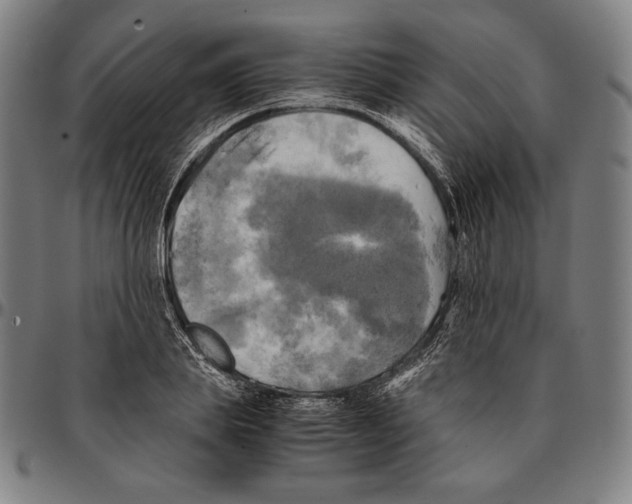 X0000095120839200801041221