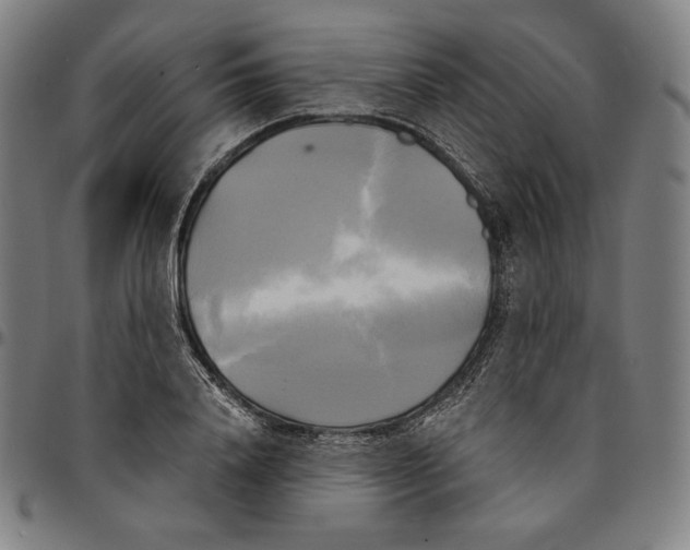 X0000095120840200801041221