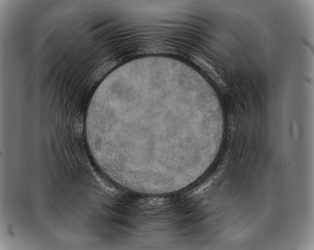 X0000095120841200801041221