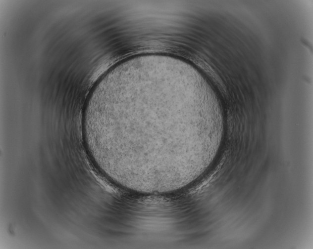 X0000095120842200801041221