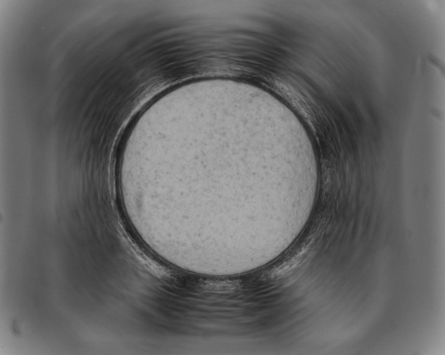 X0000095120843200801041221