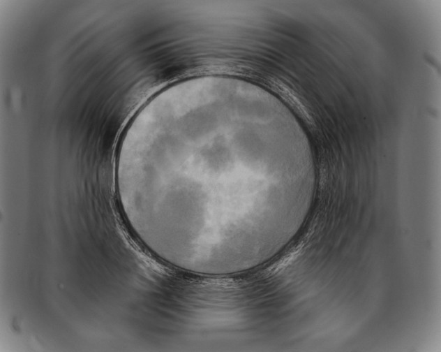 X0000095120844200801041221