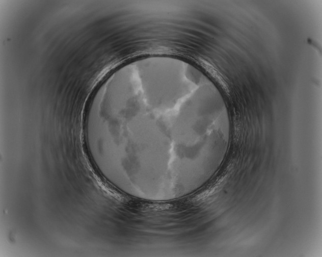 X0000095120845200801041221