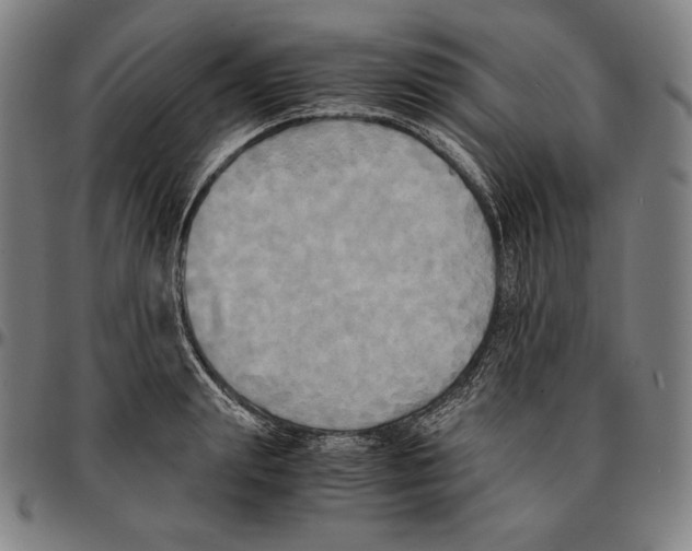 X0000095120847200801041221