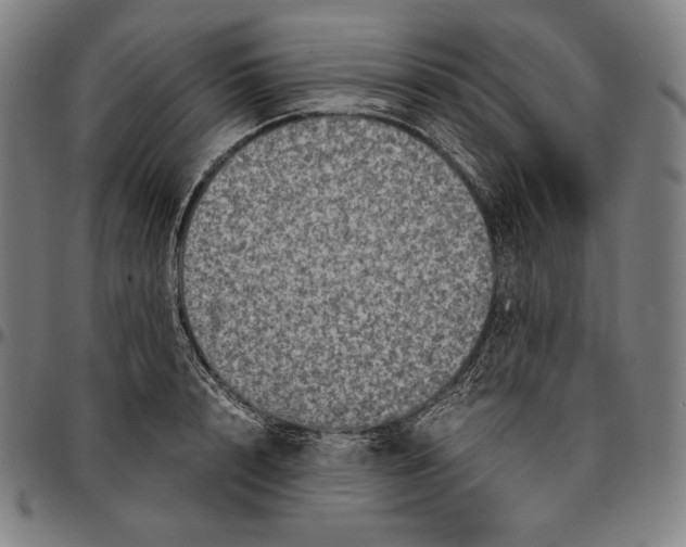 X0000095120848200801041221