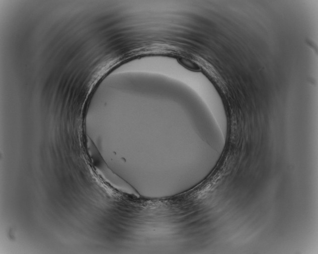 X0000095120850200801041222