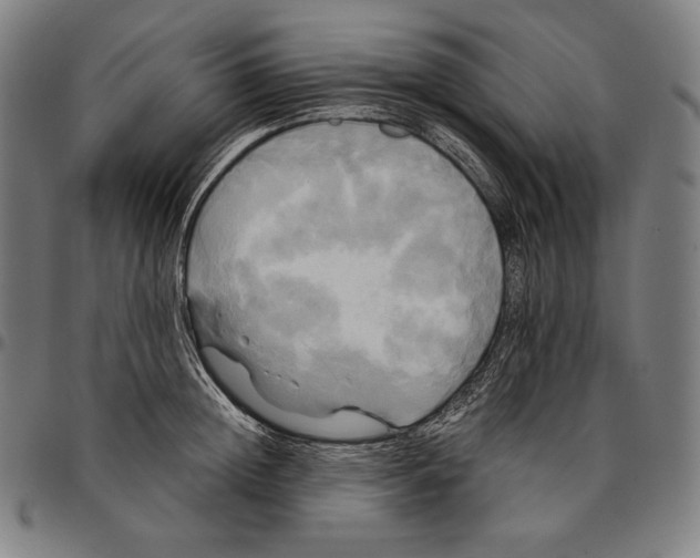 X0000095120852200801041222