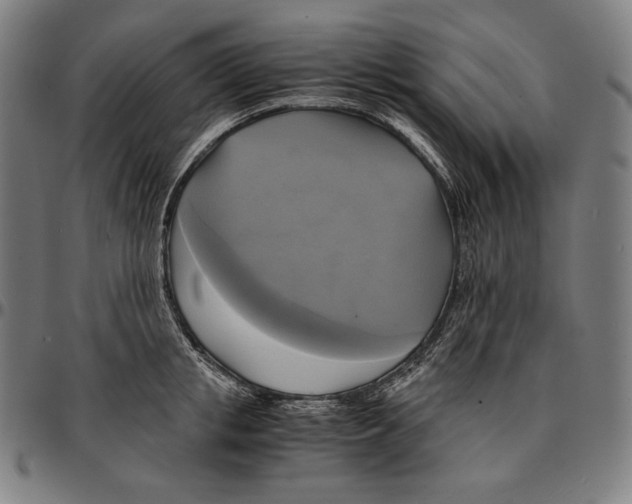 X0000095120853200801041222