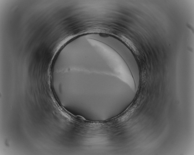 X0000095120854200801041222