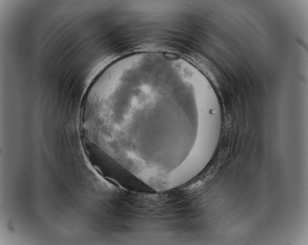 X0000095120855200801041222