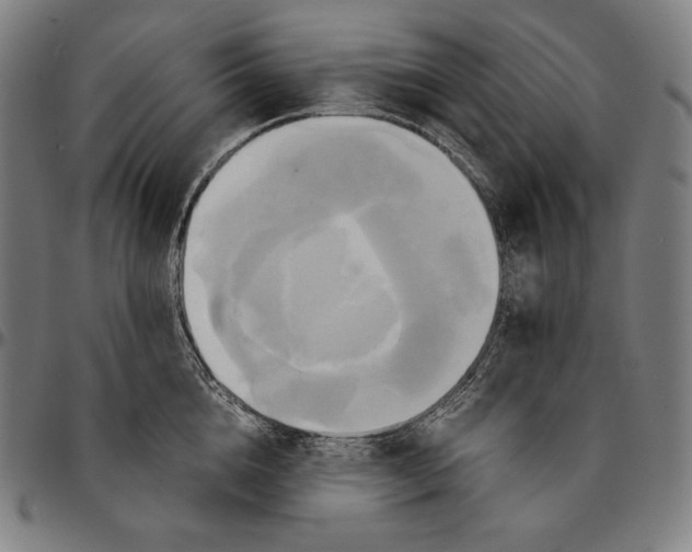 X0000095120856200801041222