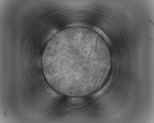 X0000095120857200801041222