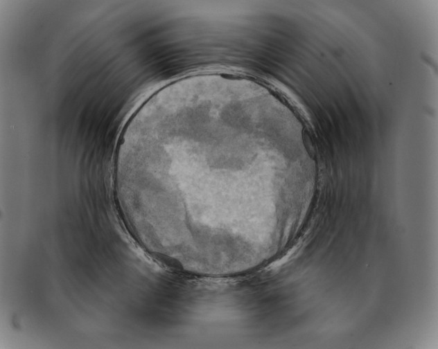 X0000095120860200801041222