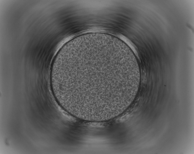 X0000095120861200801041222