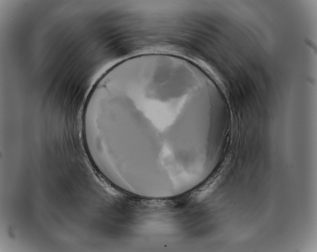 X0000095120862200801041222