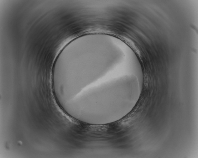 X0000095120863200801041222