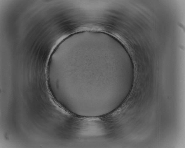 X0000095120864200801041222