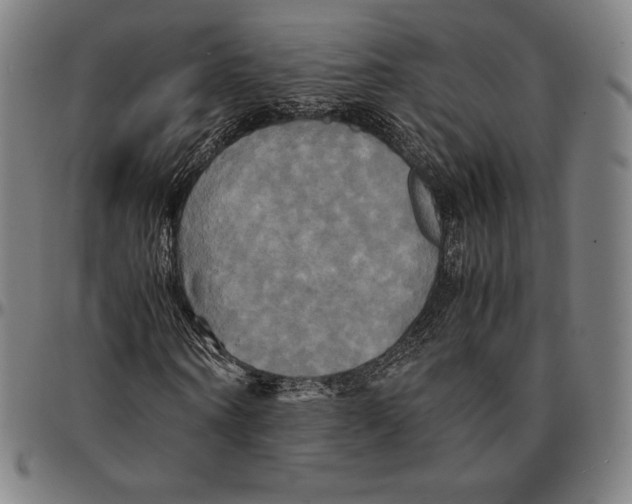 X0000095120866200801041221