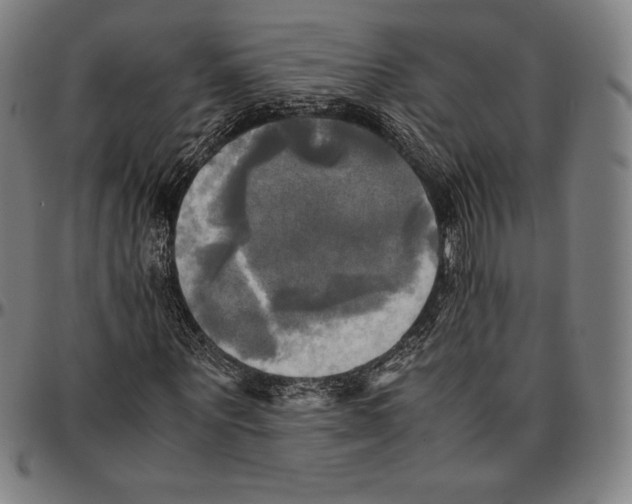 X0000095120867200801041221