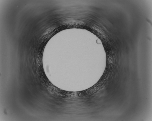 X0000095120869200801041221