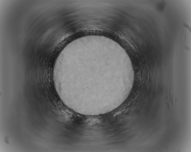 X0000095120870200801041221