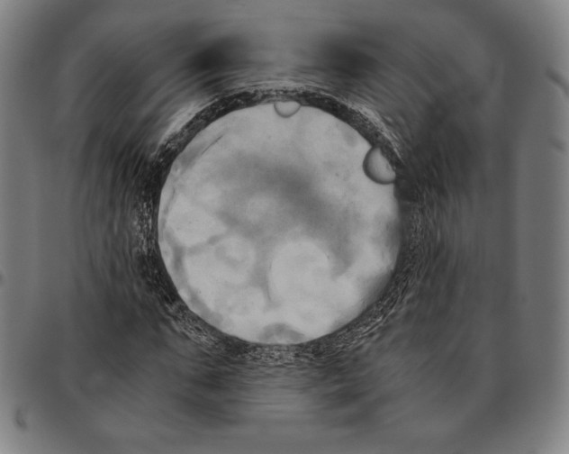 X0000095120871200801041221