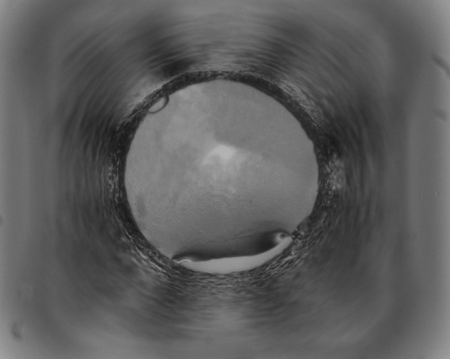 X0000095120872200801041221