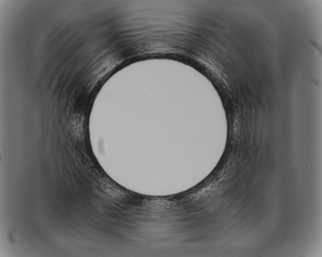 X0000095120873200801041221