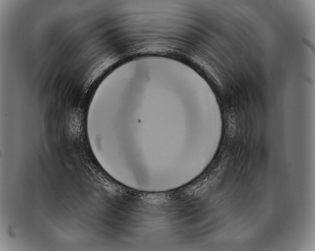 X0000095120874200801041221