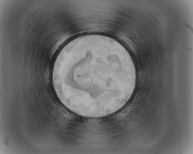 X0000095120875200801041221