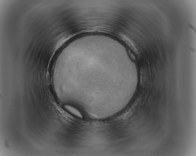 X0000095120876200801041221