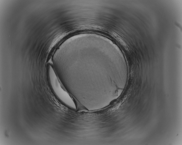 X0000095120877200801041221