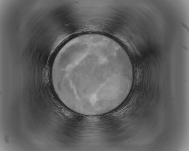 X0000095120878200801041221