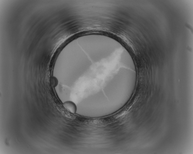 X0000095120879200801041221