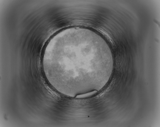 X0000095120880200801041221