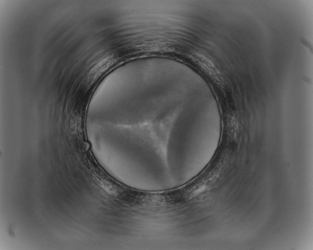 X0000095120881200801041221