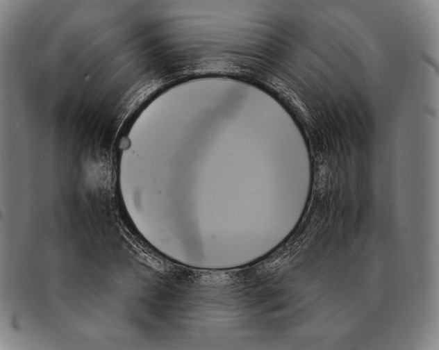 X0000095120882200801041221