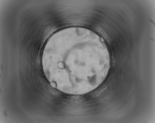 X0000095120883200801041221