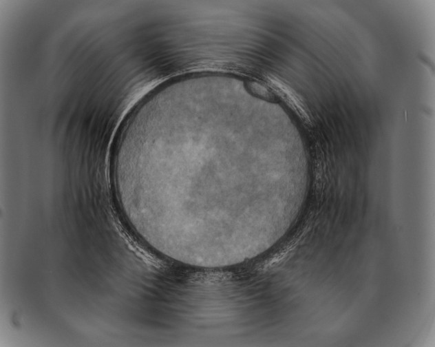 X0000095120884200801041221