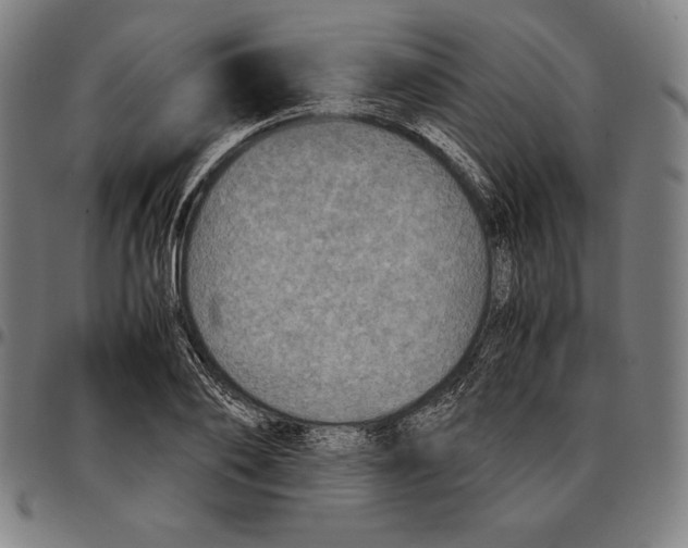 X0000095120886200801041221