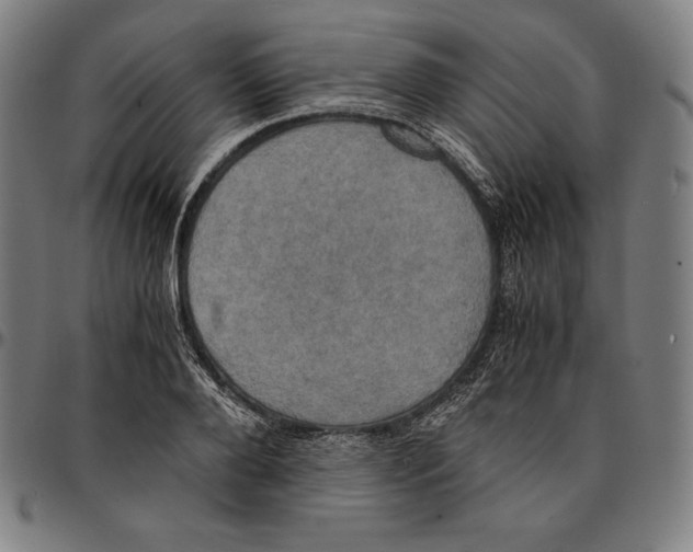 X0000095120888200801041221