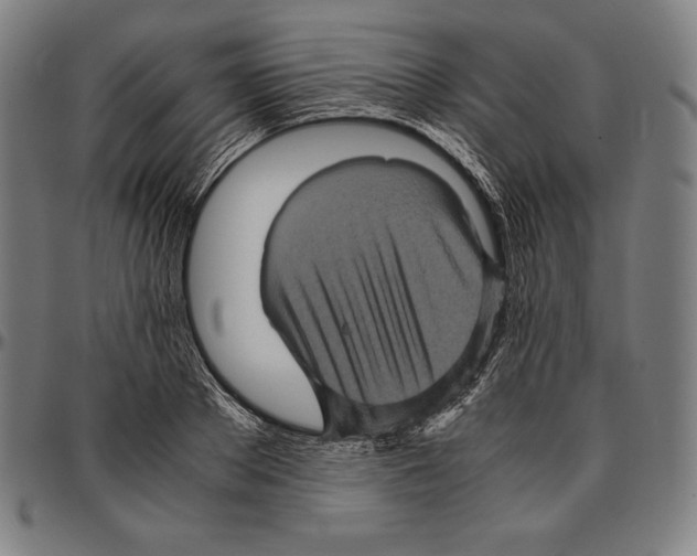 X0000095120889200801041221