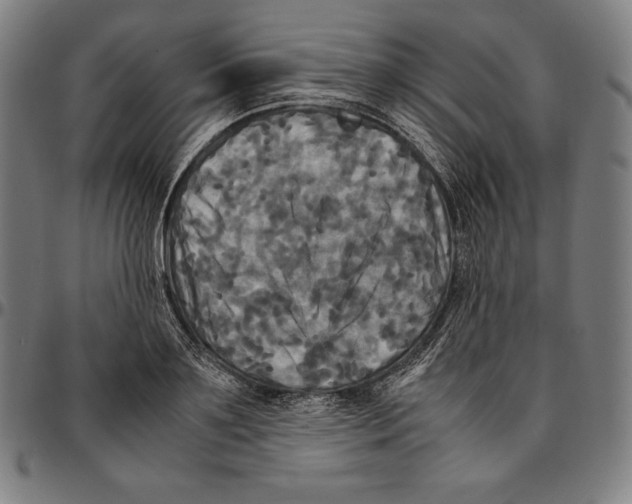 X0000095120891200801041221